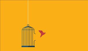 An Introduction to Working with Criminalized Survivors