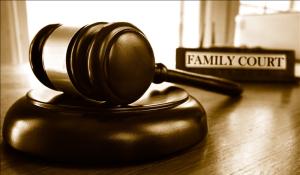 GAL SAFeR Training Pinellas County