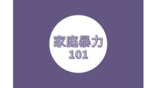 家庭暴力101