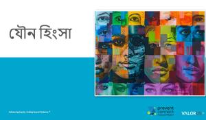 যৌন হিংসা