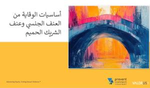 أساسيات الوقاية من العنف الجنسي وعنف الشريك الحميم