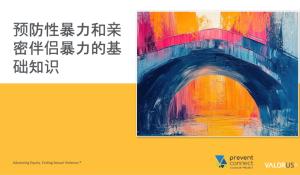预防性暴力和亲密伴侣暴力的基础知识