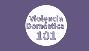 Violencia Doméstica 101