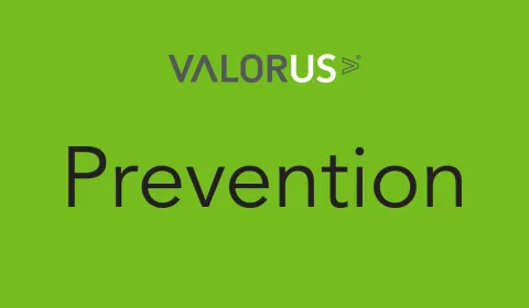 green background with VALOR logo