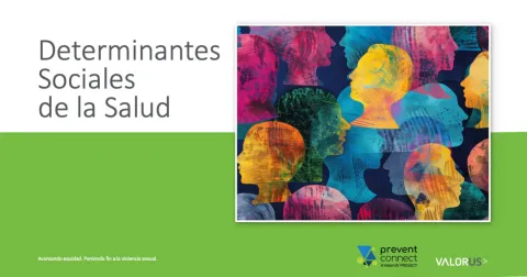 Determinantes Sociales de la Salud