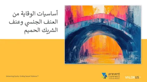 أساسيات الوقاية من العنف الجنسي وعنف الشريك الحميم