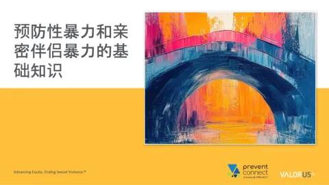 预防性暴力和亲密伴侣暴力的基础知识