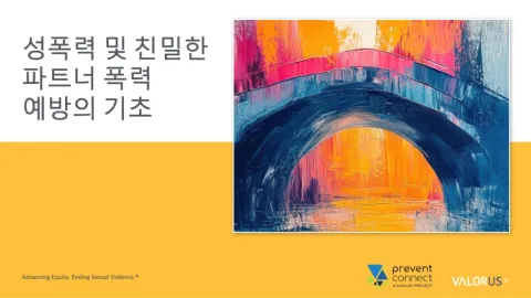 성폭력 및 친밀한 파트너 폭력 예방의 기초
