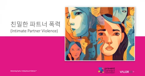 친밀한 파트너 폭력