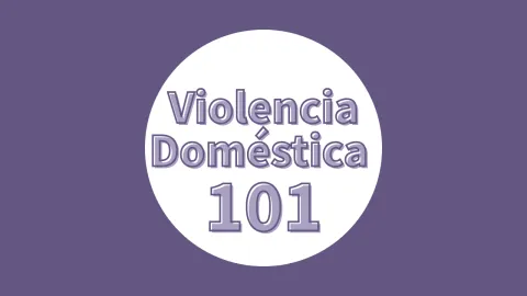 Violencia Doméstica 101